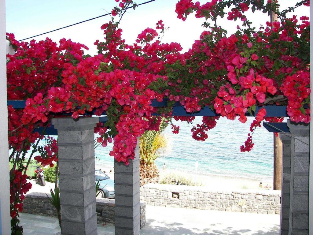 Theoxenia Chios Apartments Paralia Agias Foteinis Экстерьер фото