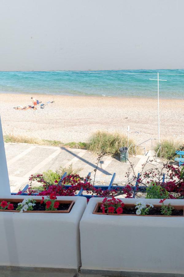 Theoxenia Chios Apartments Paralia Agias Foteinis Экстерьер фото